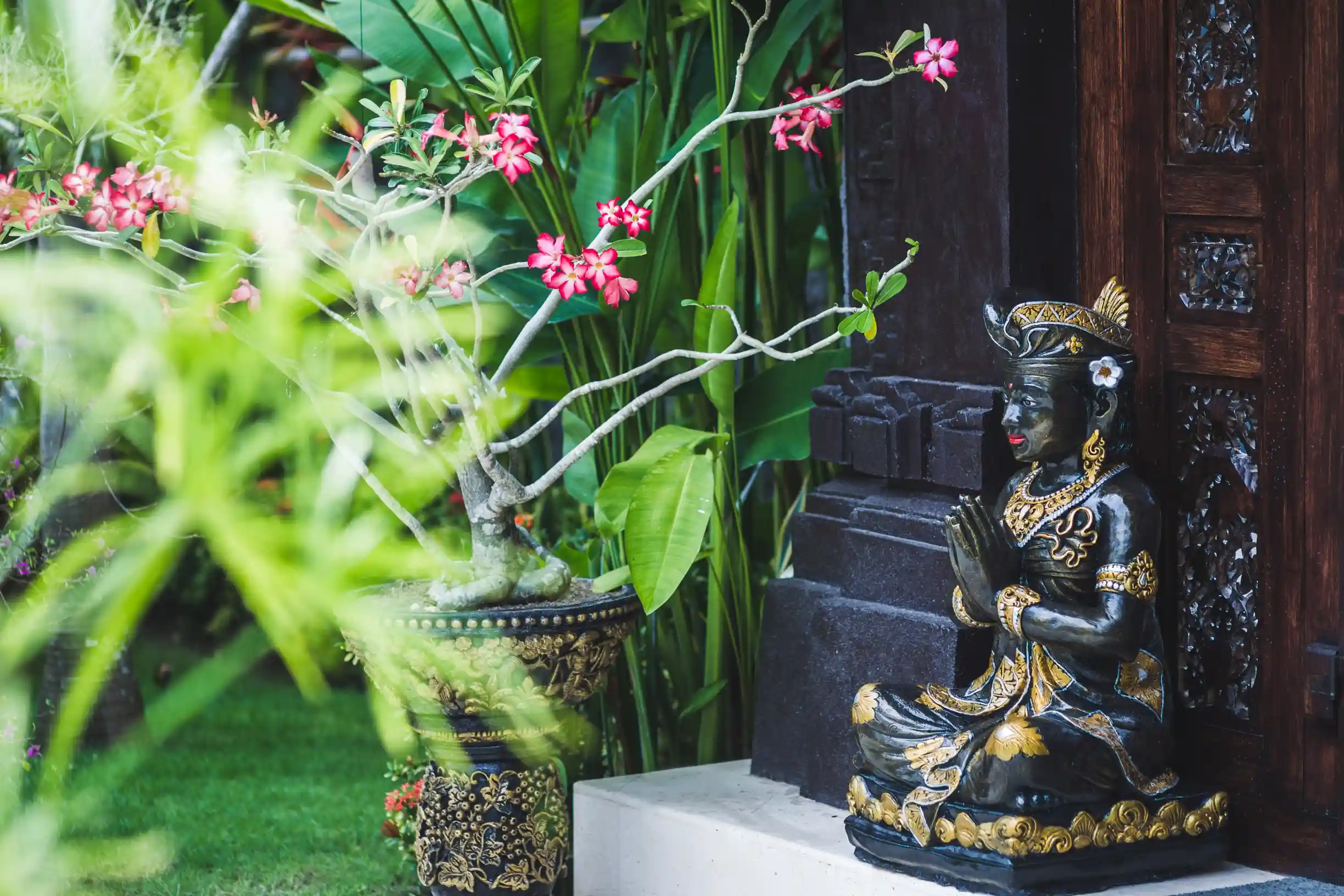 Feng shui plants