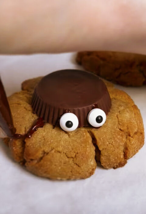 Spider cookie