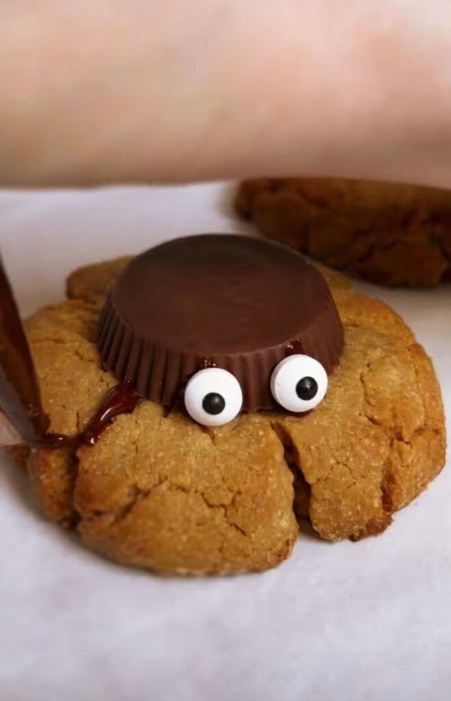 Spider cookie