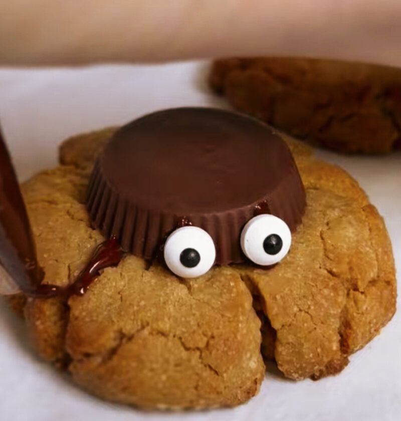 Spider cookie
