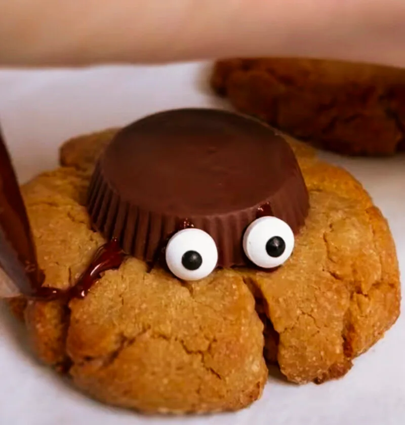 Spider cookie